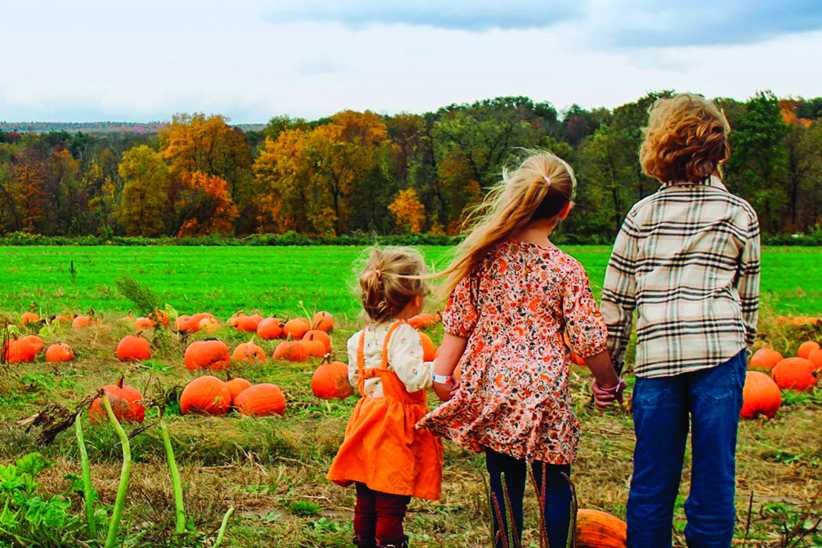 Fall Family Road Trips