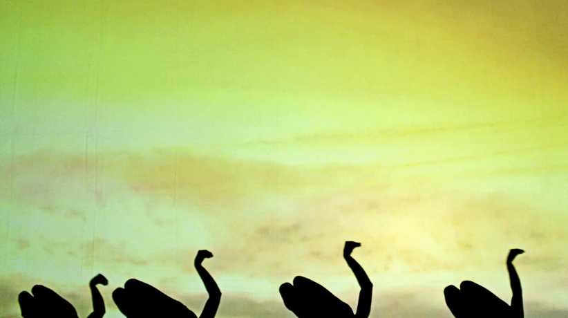 Catapult of America’s Got Talent Wows Kids in Magic Shadows