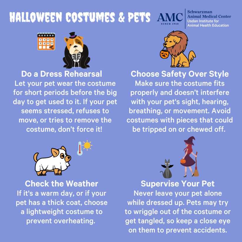 Halloween Costume Safety for Pets 2025