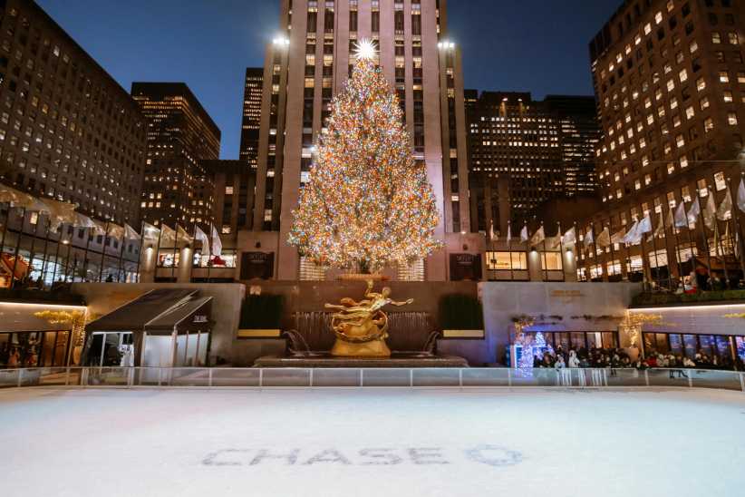 This Year’s Rockefeller Center Tree Is a Native New Yorker