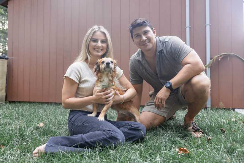 Why NYC Parents Are Adopting Dogs After Meeting Tiki on TikTok