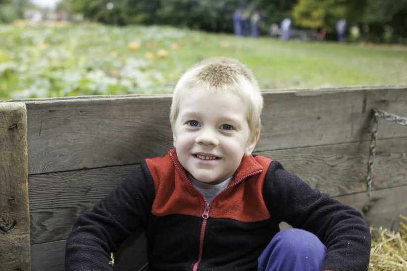 Hayrides In and Near NYC for a Family Treat This Fall