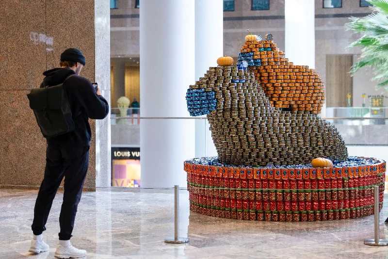 Canstruction