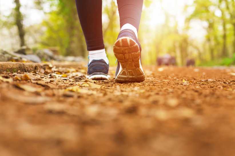 Family-Friendly Turkey Trots in Westchester 