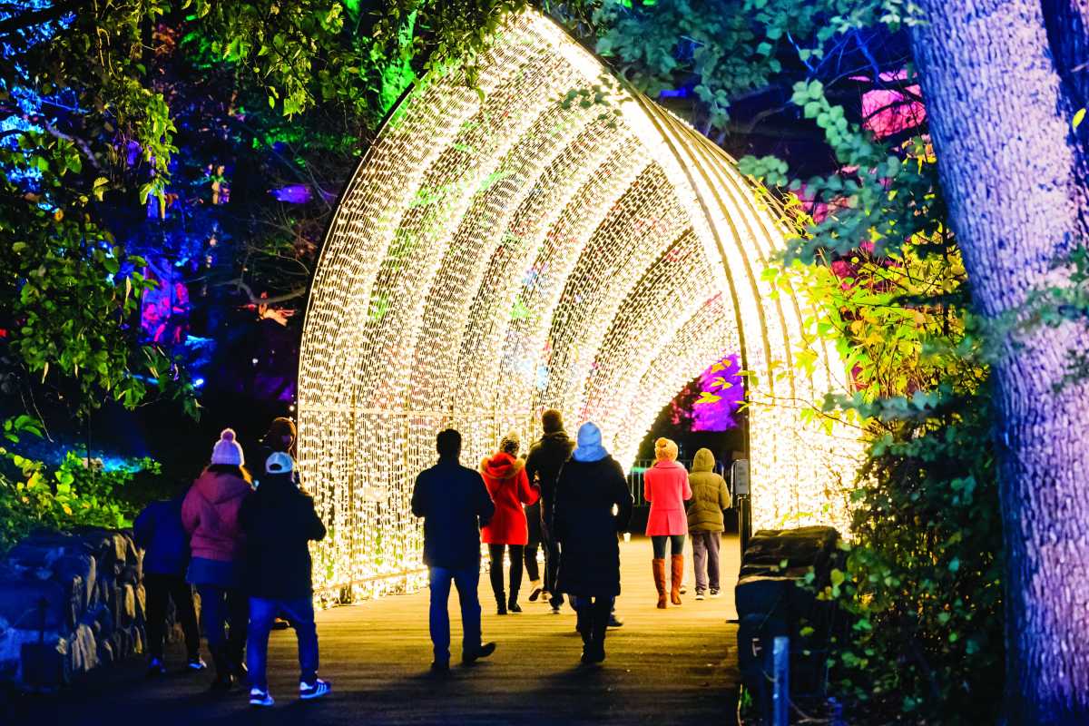 Must-See Holiday Light Shows in NYC - New York Family