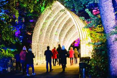 Must-See Holiday Light Shows in NYC