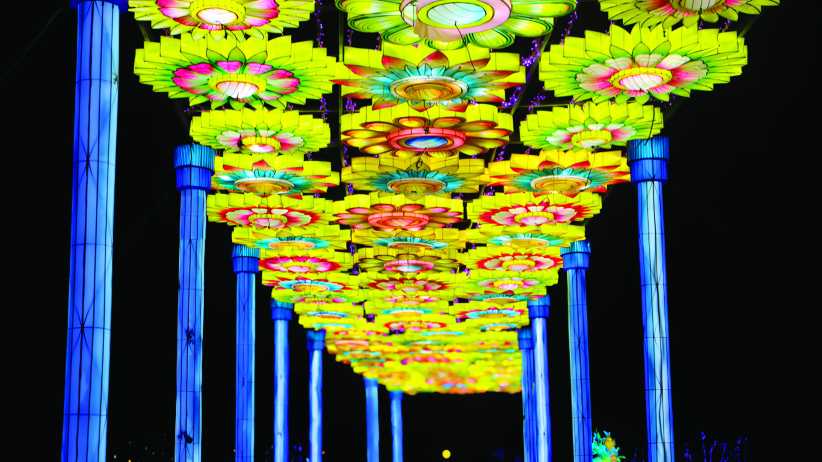 Must-See Holiday Light Shows in NYC