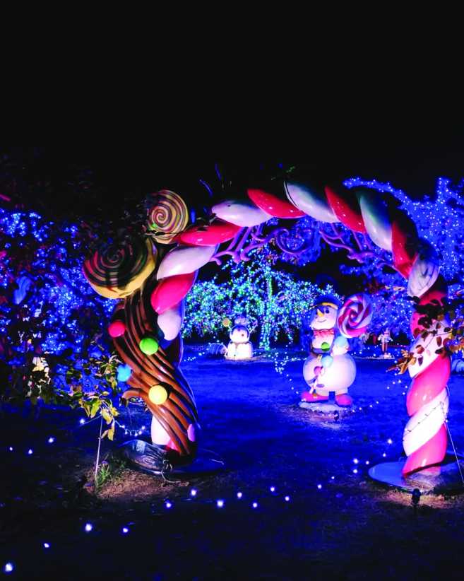 Stunning Holiday Light Shows in Westchester