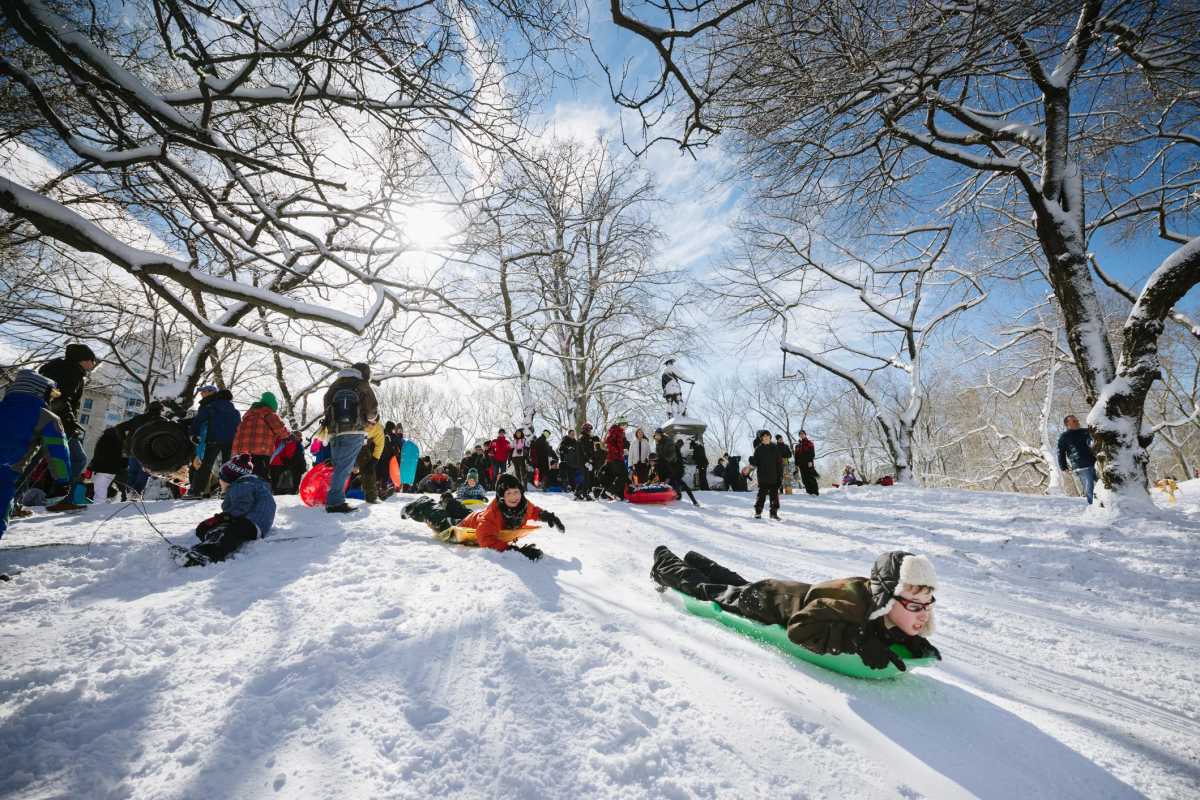 Kids happily sledding on a hill in New York City's Central Park