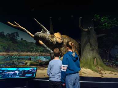 3c. Cretaceous diorama