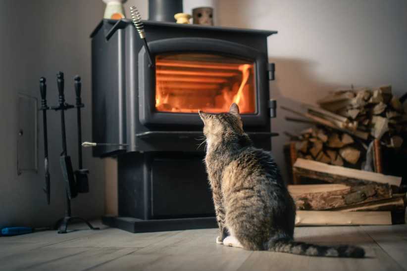 Rear view of domestic cat looking at burning wood in stove at home.