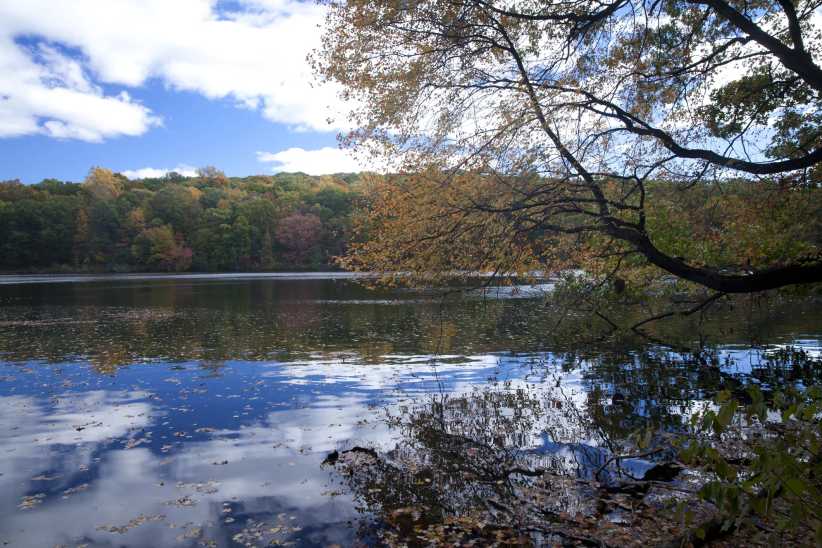 Things to do in Westchester: Rockefeller State Park Preserve