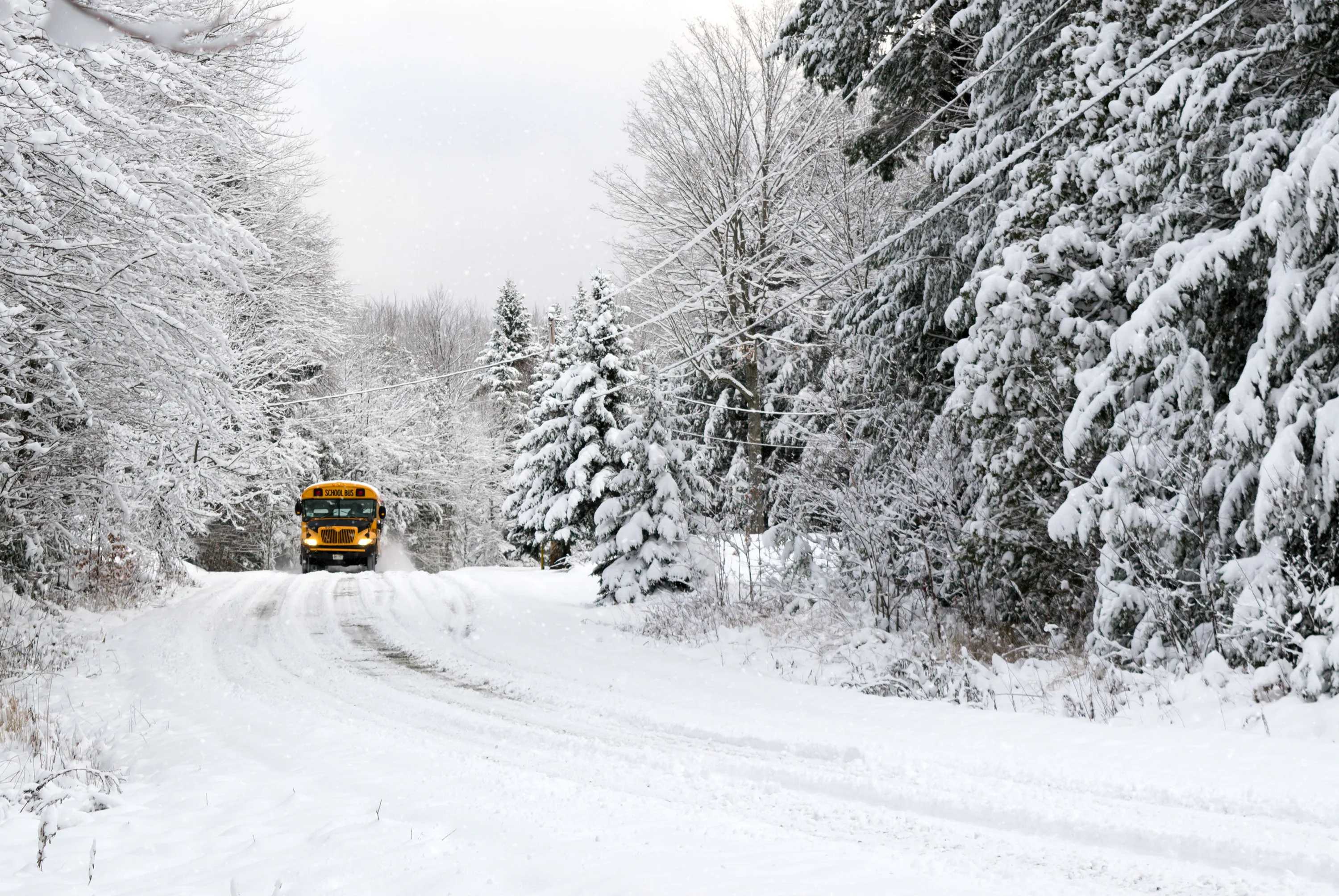 Westchester Snowstorm Update: A school bus drives down a snow covered rural country road lined with snow covered trees after a snow storm during the winter season.