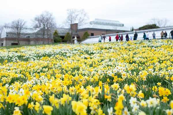 See the New England Botanic Garden at Tower Hill on a Massachusetts road trip