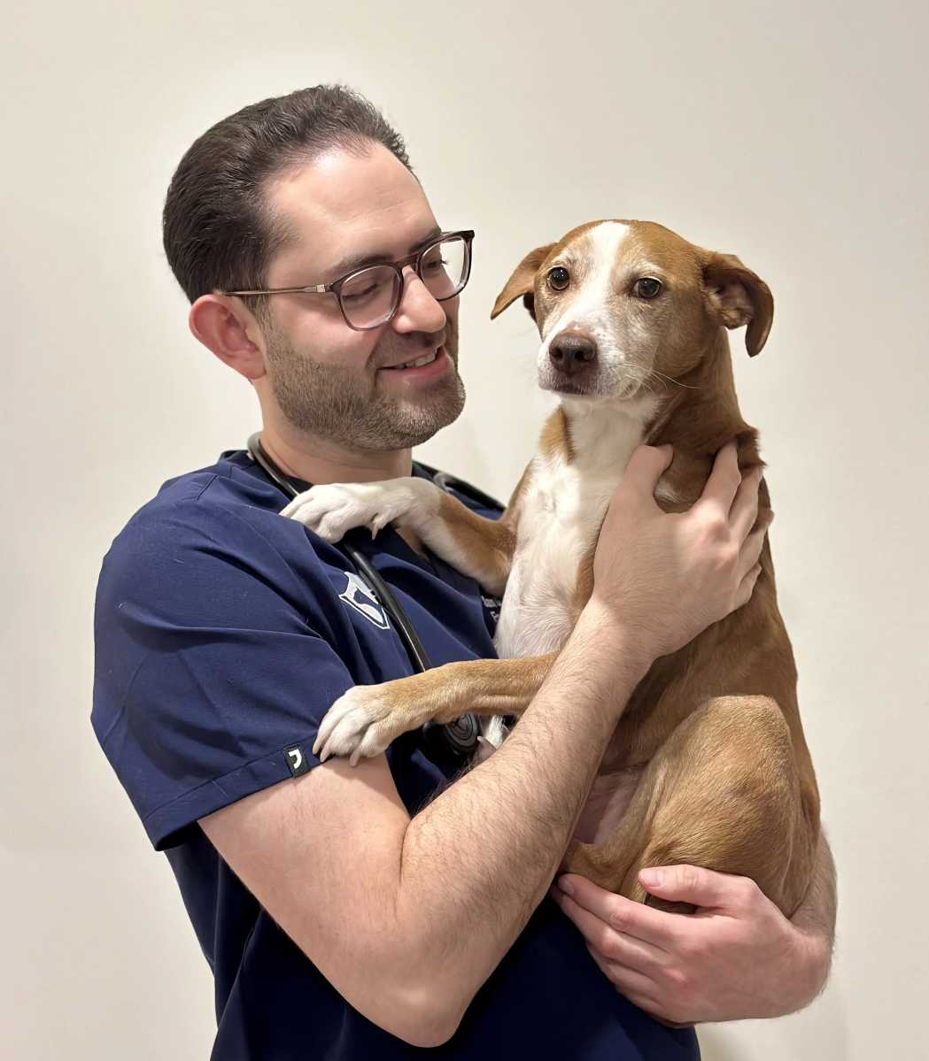 When Every Minute Counts: 24-Hour Emergency Veterinary Hospital Opens in Westchester