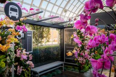 Bus stop covered in orchids