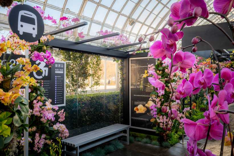Bus stop covered in orchids