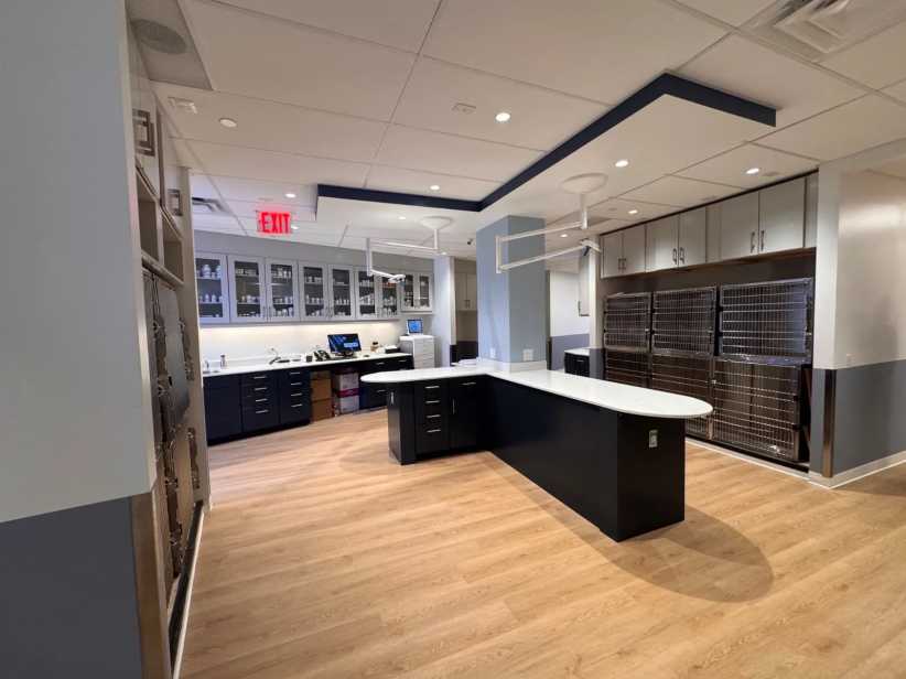 Exam room in Veterinary Specialty & Emergency Center