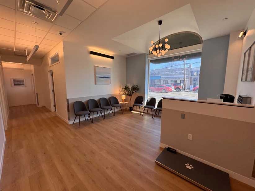 Waiting room at Veterinary Specialty & Emergency Center