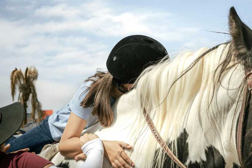 child hugging horse
