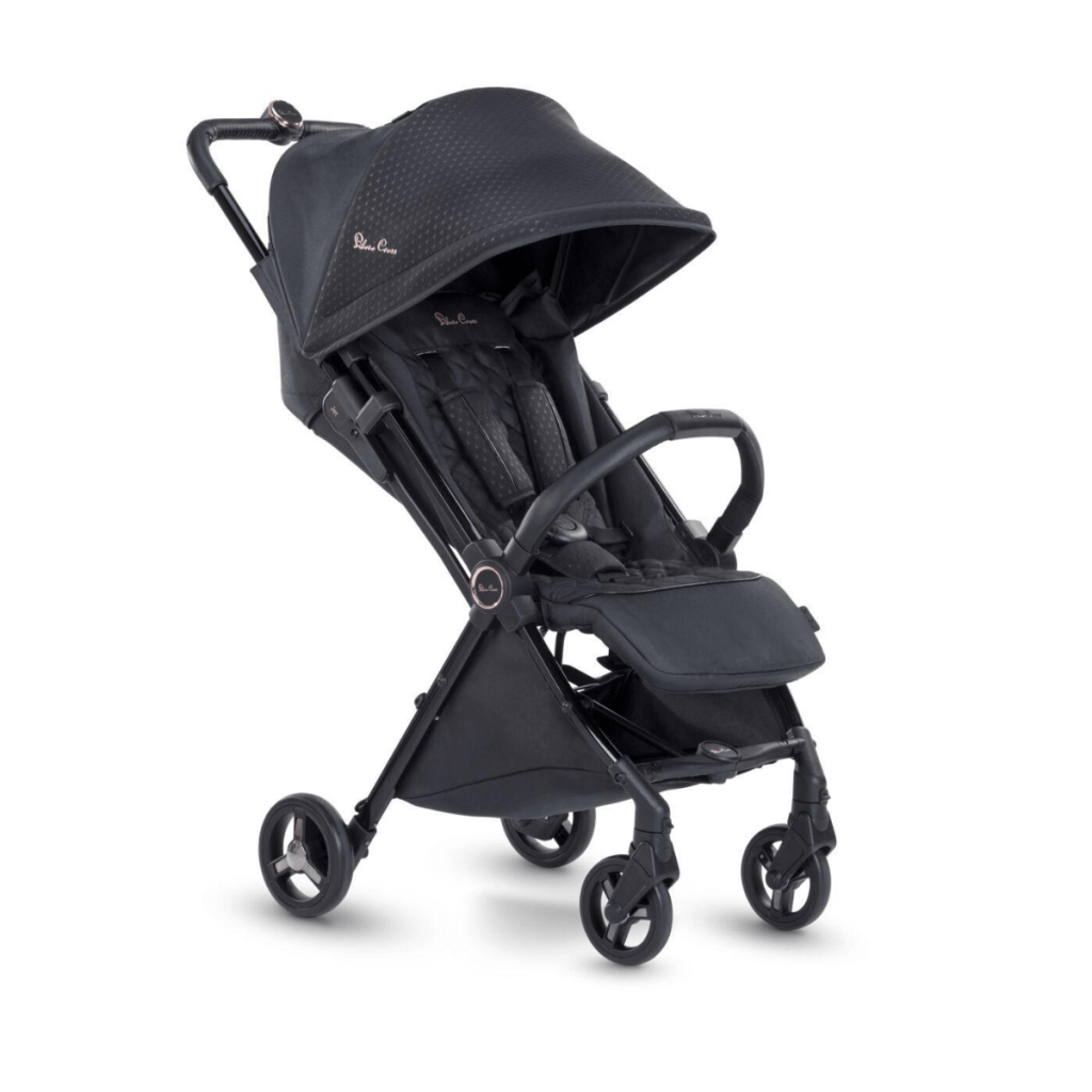 50 Best Strollers for New York City 2021